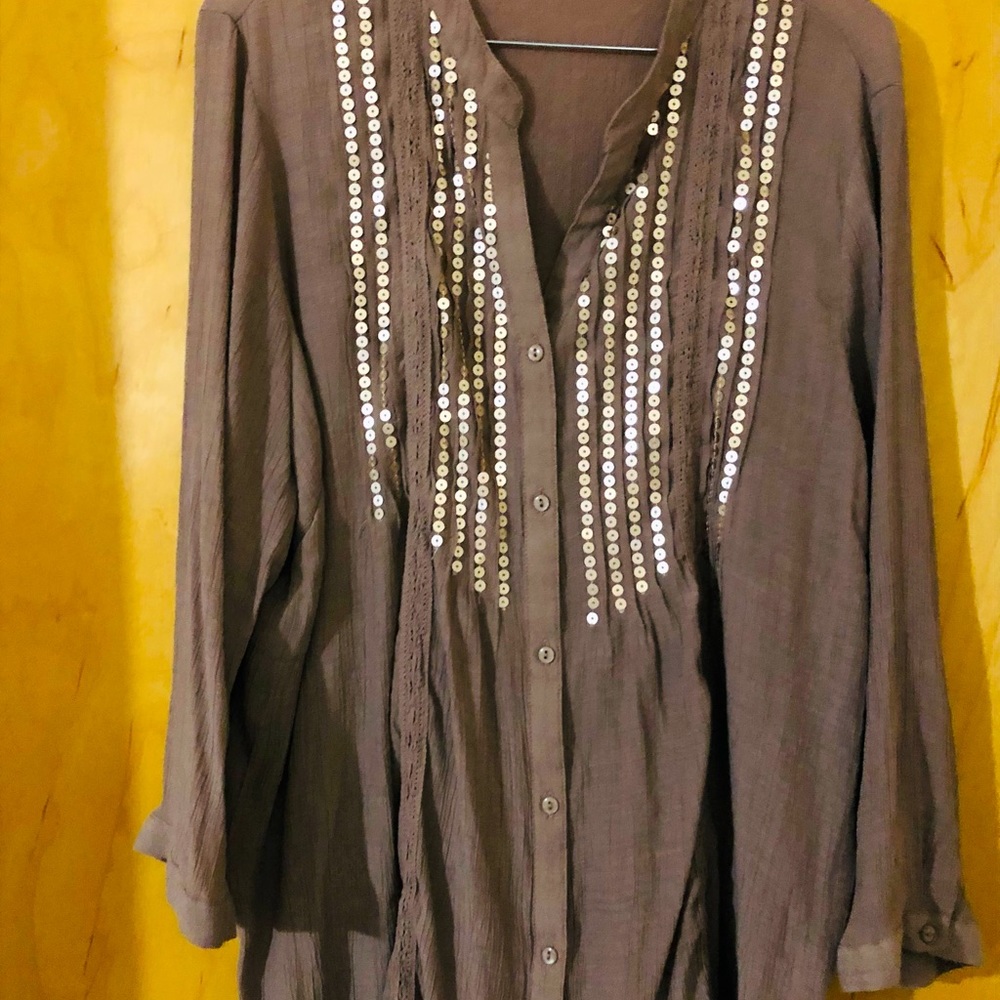 FINAL MARKDOWN Long sleeve 2X sequins tan blouse.